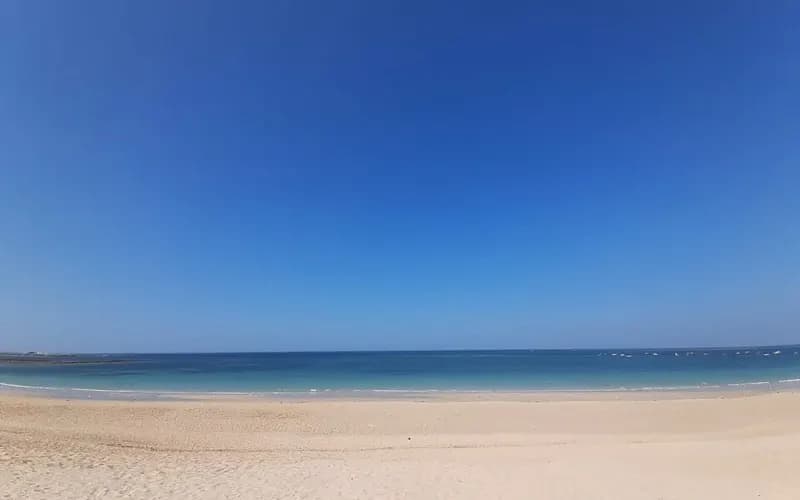 Clear water and pale sand at Shivrajpur Beach near Dwarka