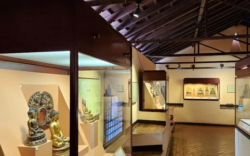 Museum gallery with sculptures in lit display cases